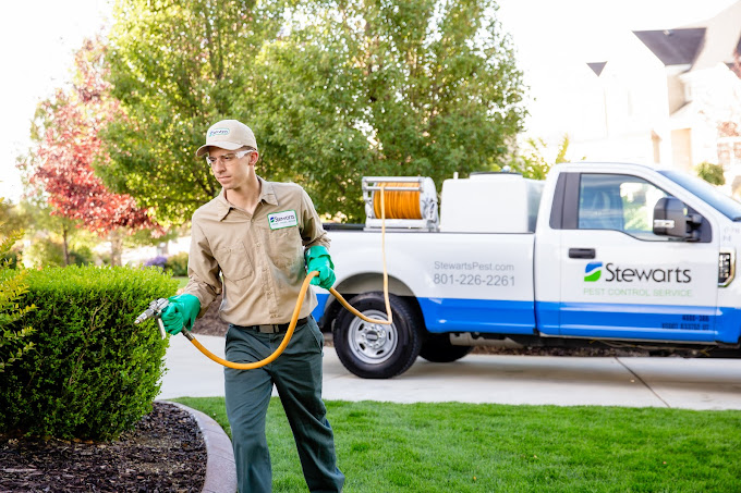 Choosing a Utah Pest Control Company: Chemicals vs. Eco-Friendly Options