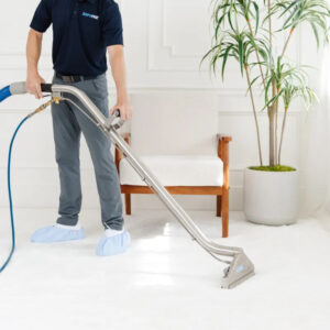 Selecting a Utah Carpet Cleaning Service: Chemicals, Pricing & Reviews